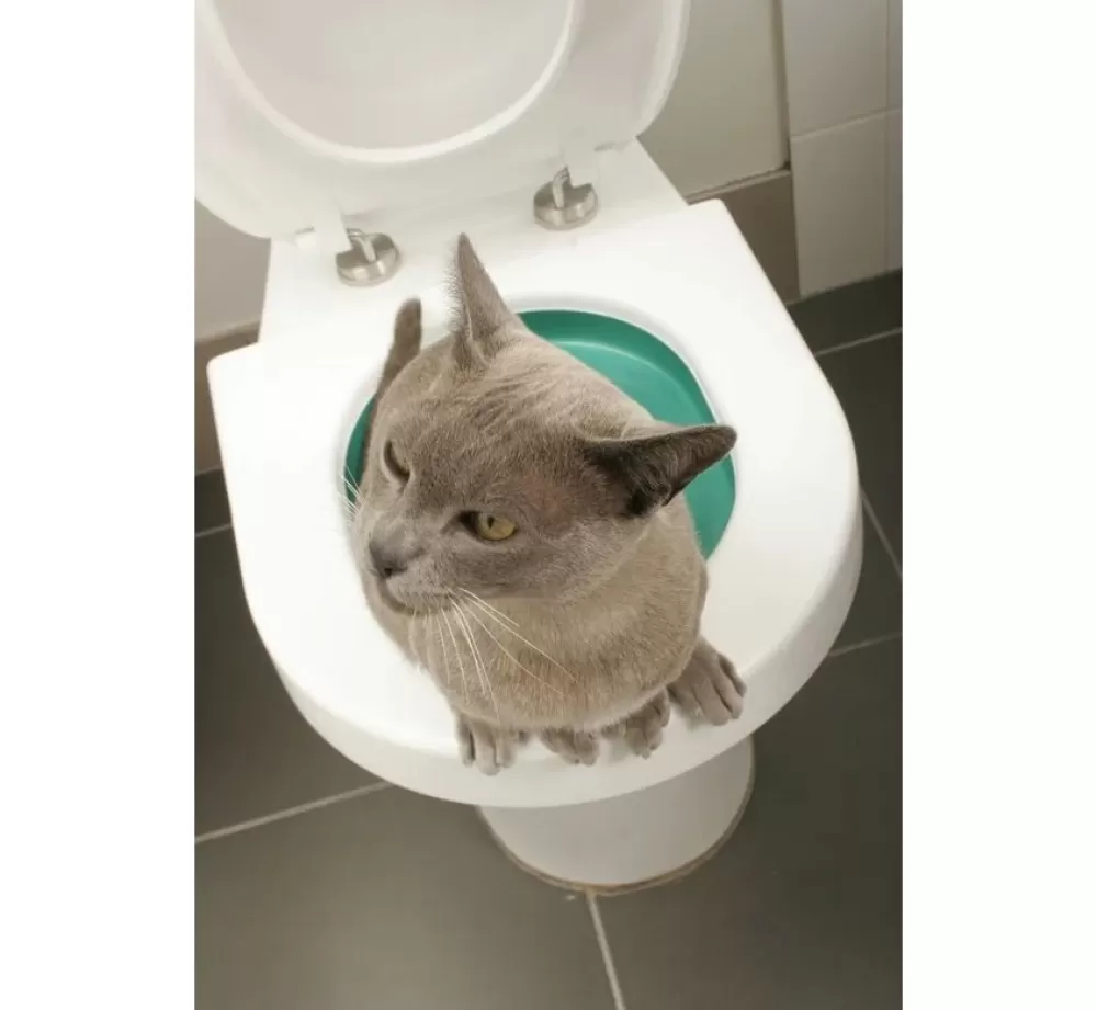 Litter Kwitter Litter | Toilet Training System For Cats