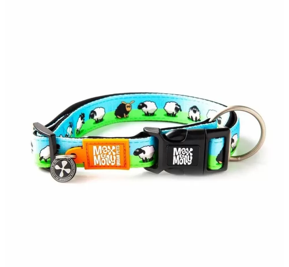 Max & Molly Puppy Collar | Dog Collar Black Sheep