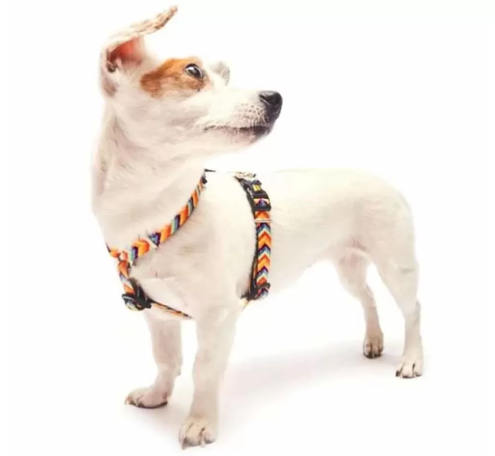 Max & Molly Puppy Harness | Dog Harness Summertime