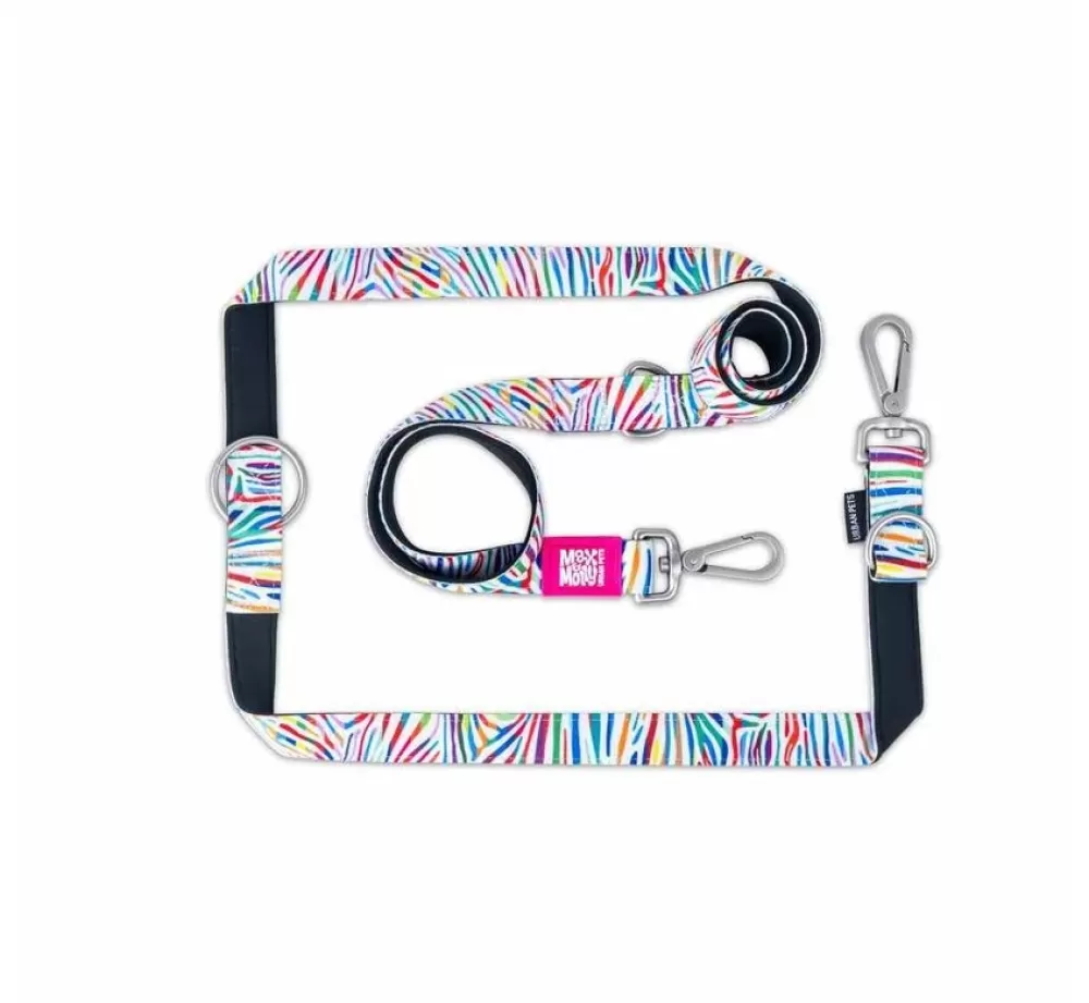 Max & Molly Puppy Leash | Dog Leash Multi Function Magical Zebra