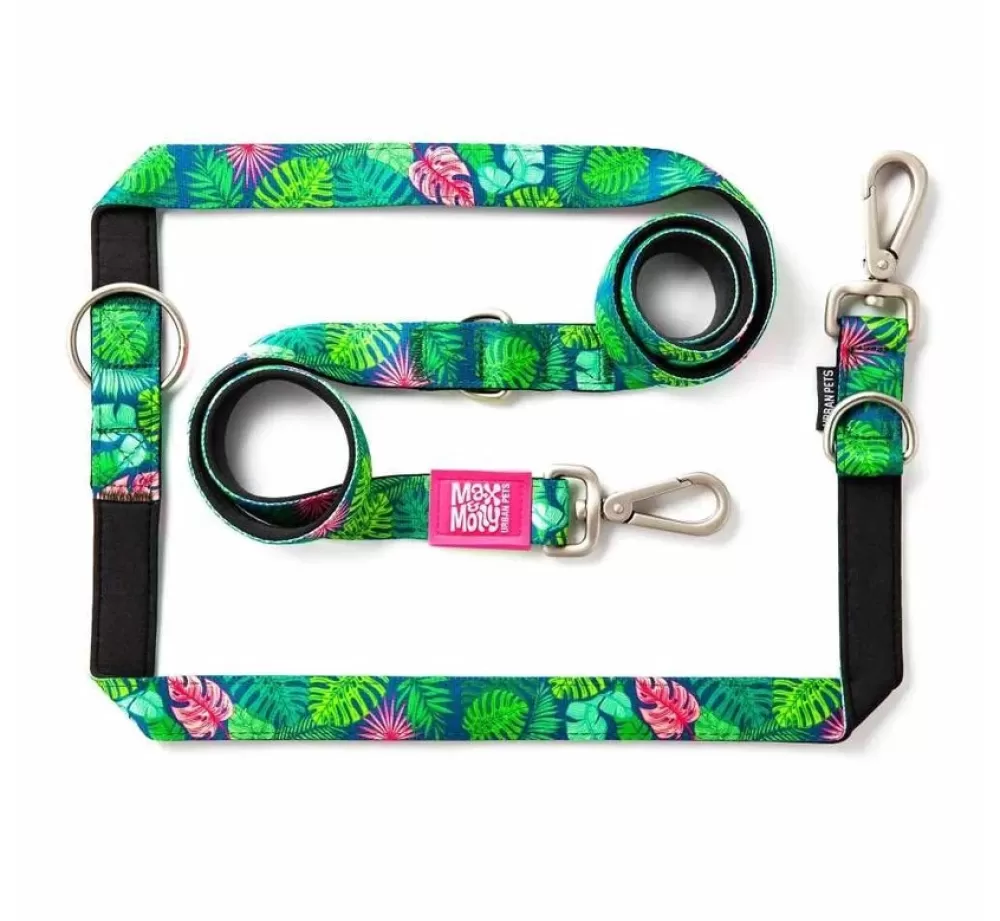 Max & Molly Puppy Leash | Dog Leash Multi Function Tropical