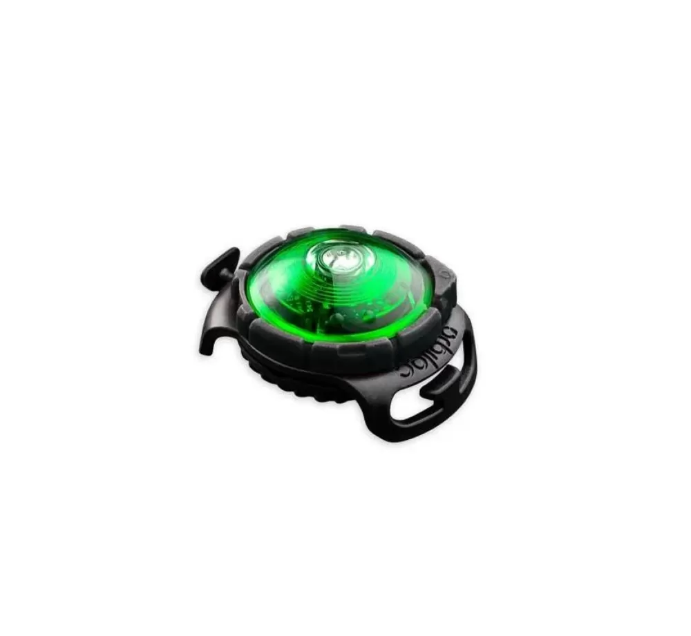 Orbiloc Collars With Lights | Dog Dual Light Green