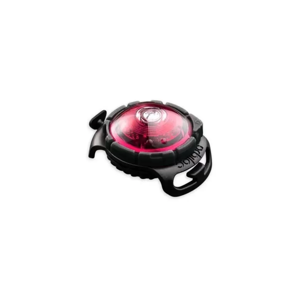 Orbiloc Collars With Lights | Dog Dual Light Red