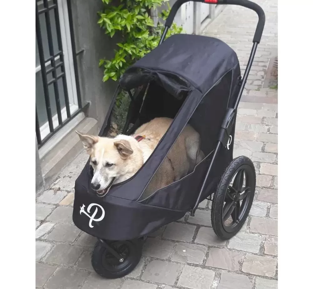 Petique Bike Essentials | Dog Bike Trailer Breeze