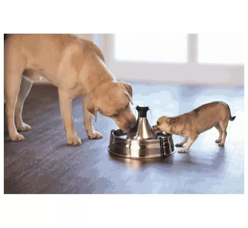 Petsafe Bowls | Drinking Fountain 360 Stainless Steel