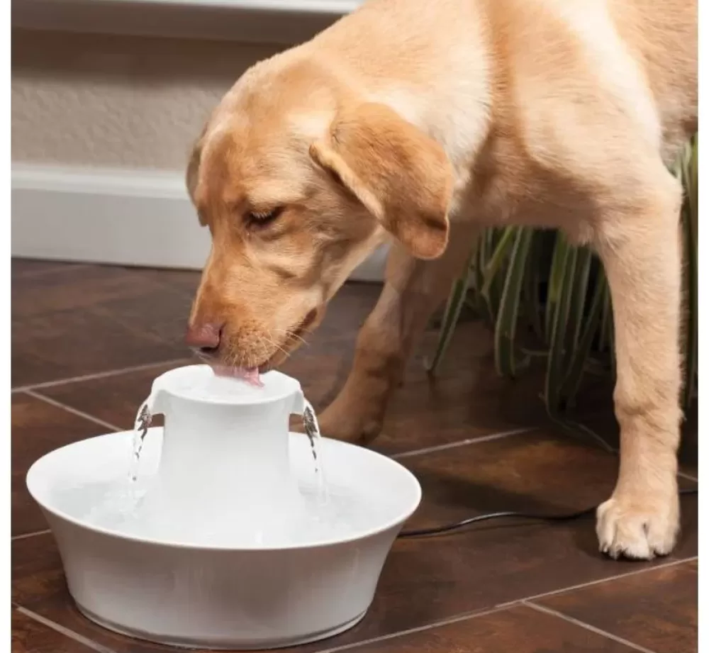 Petsafe Bowls | Drinking Fountain Drinkwell Avalon