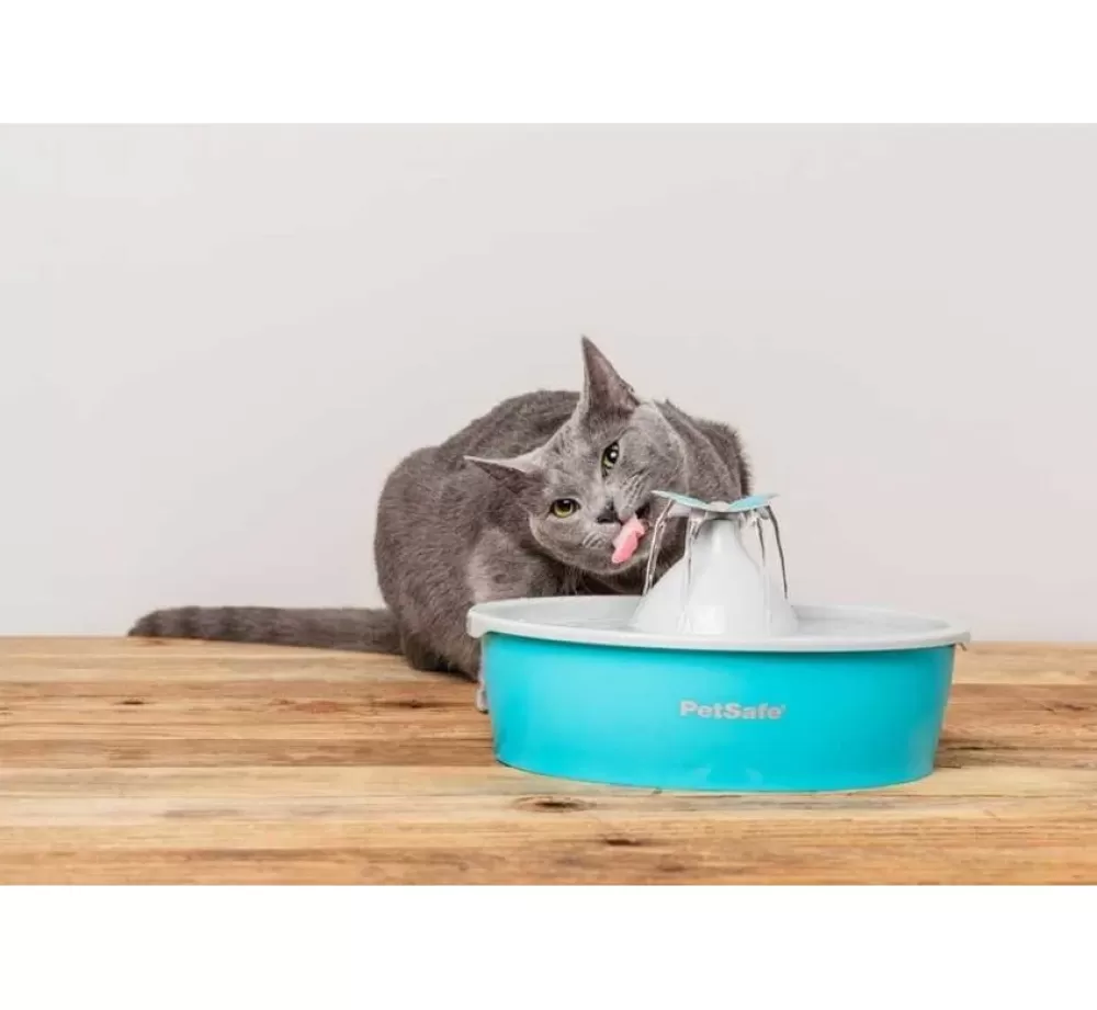 Petsafe Bowls | Drinking Fountain Drinkwell Butterfly