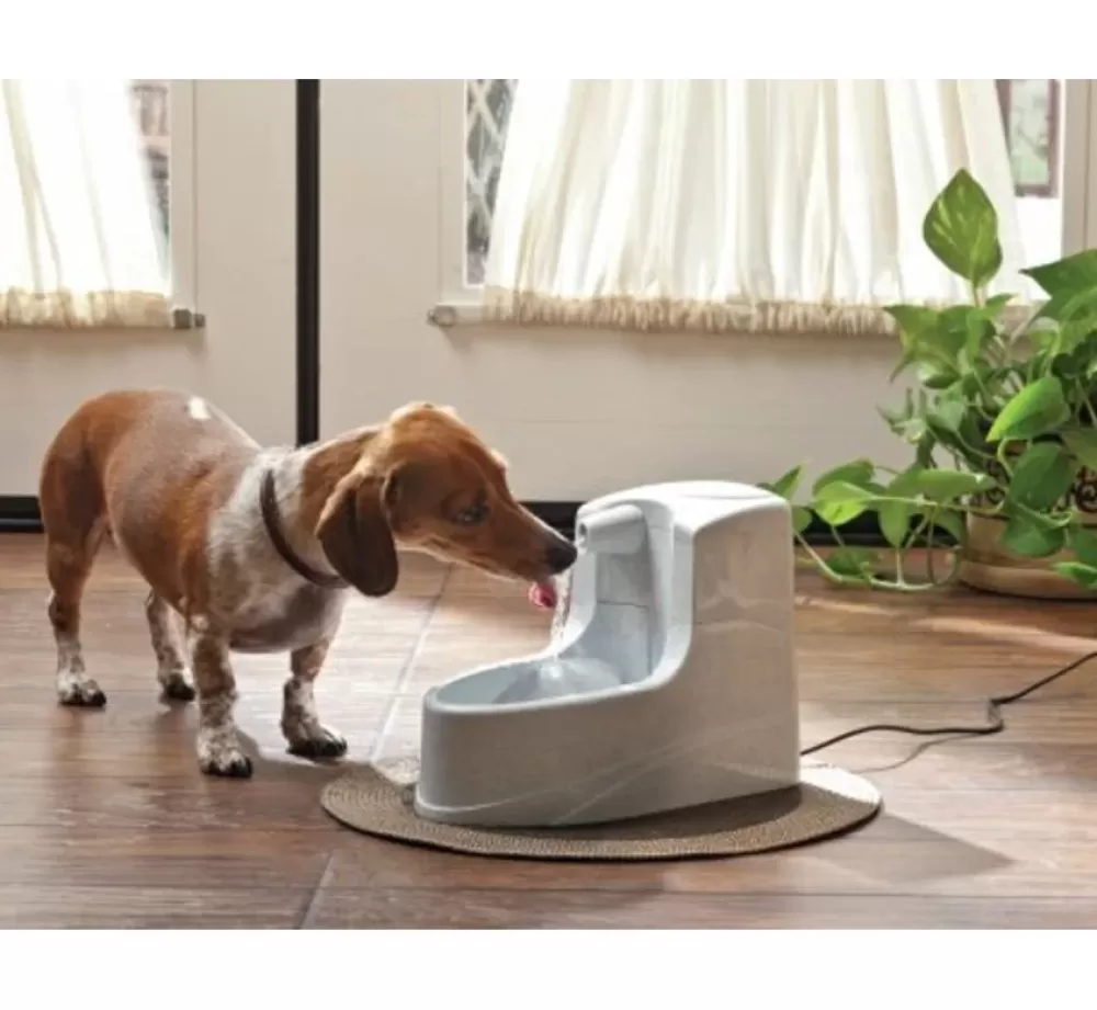 Petsafe Bowls | Drinking Fountain Drinkwell Mini