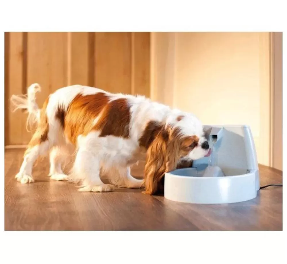 Petsafe Bowls | Drinking Fountain Drinkwell Original