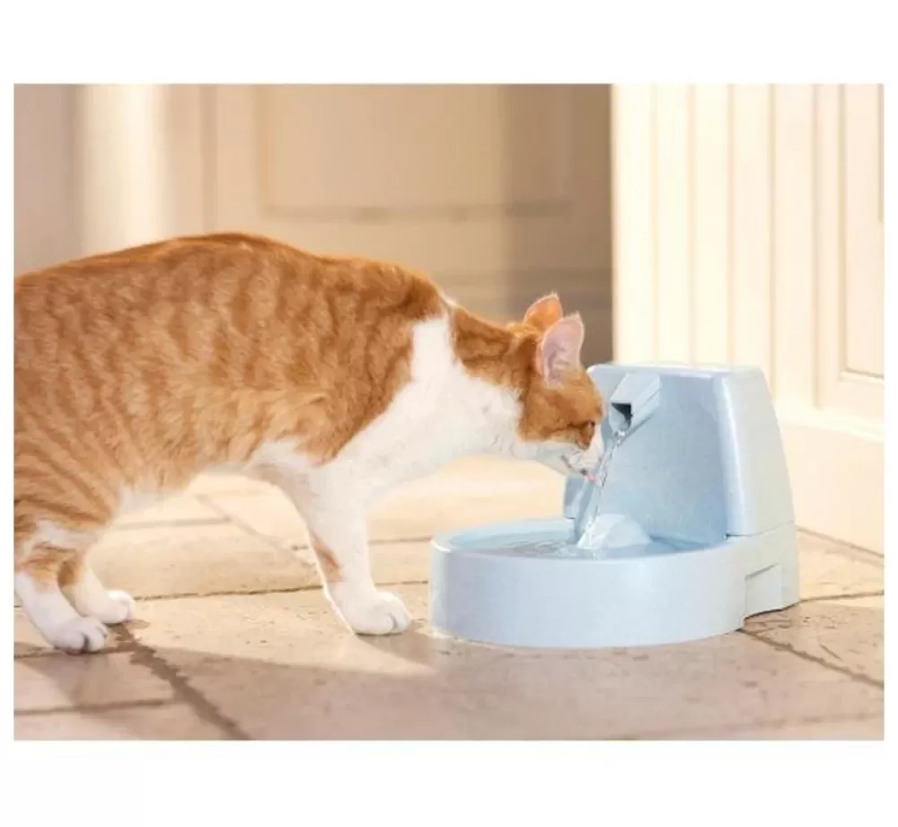 Petsafe Bowls | Drinking Fountain Drinkwell Original