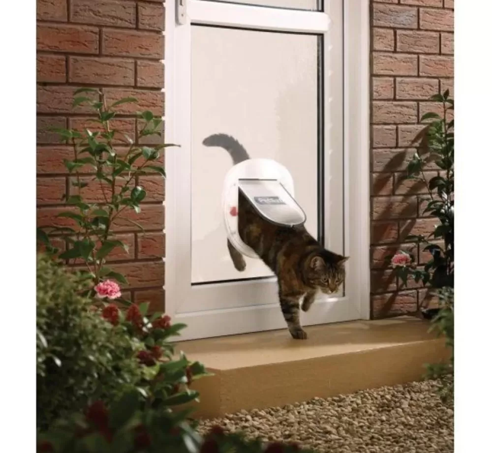 Petsafe Catflap | Staywell Big Cat Flap Frosted