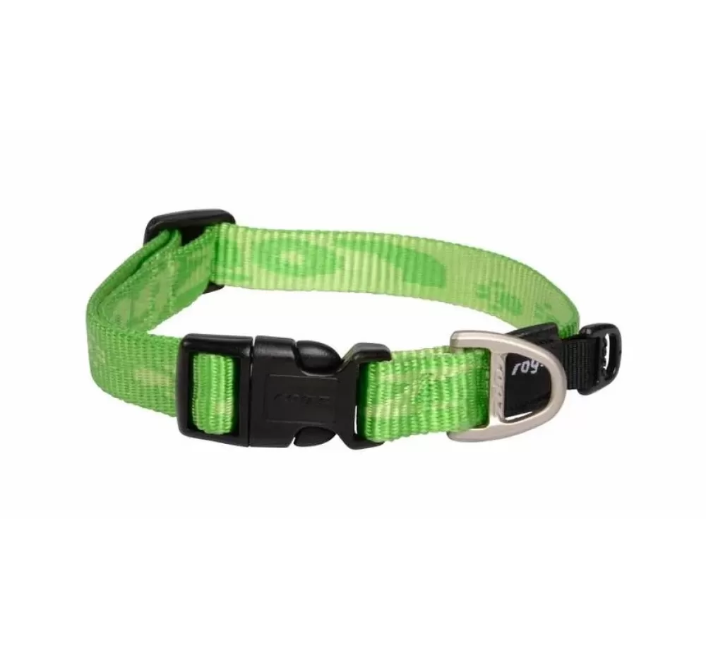 Rogz Large Dog Collar | Dog Collar Alpinist Lime