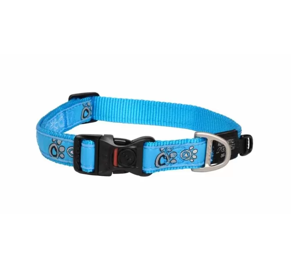 Rogz Large Dog Collar | Dog Collar Turquoise Paws