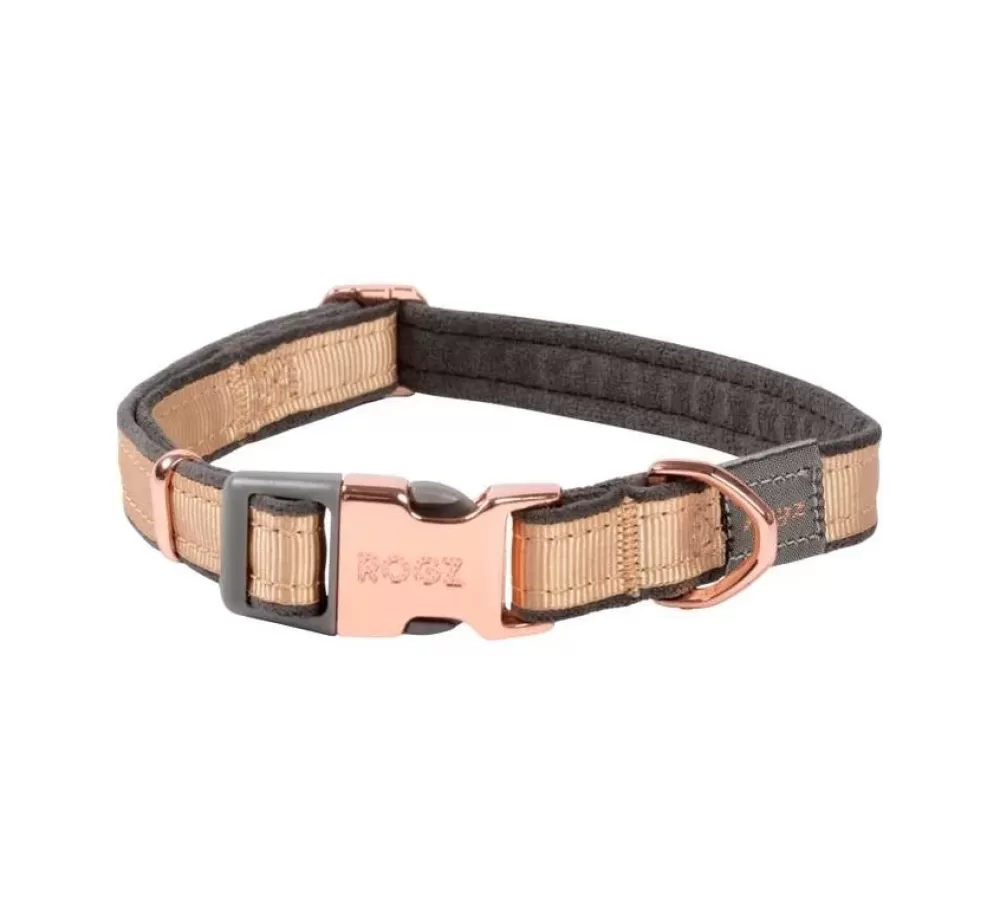 Rogz Small Dog Collars | Dog Collar Urban Gold Rush