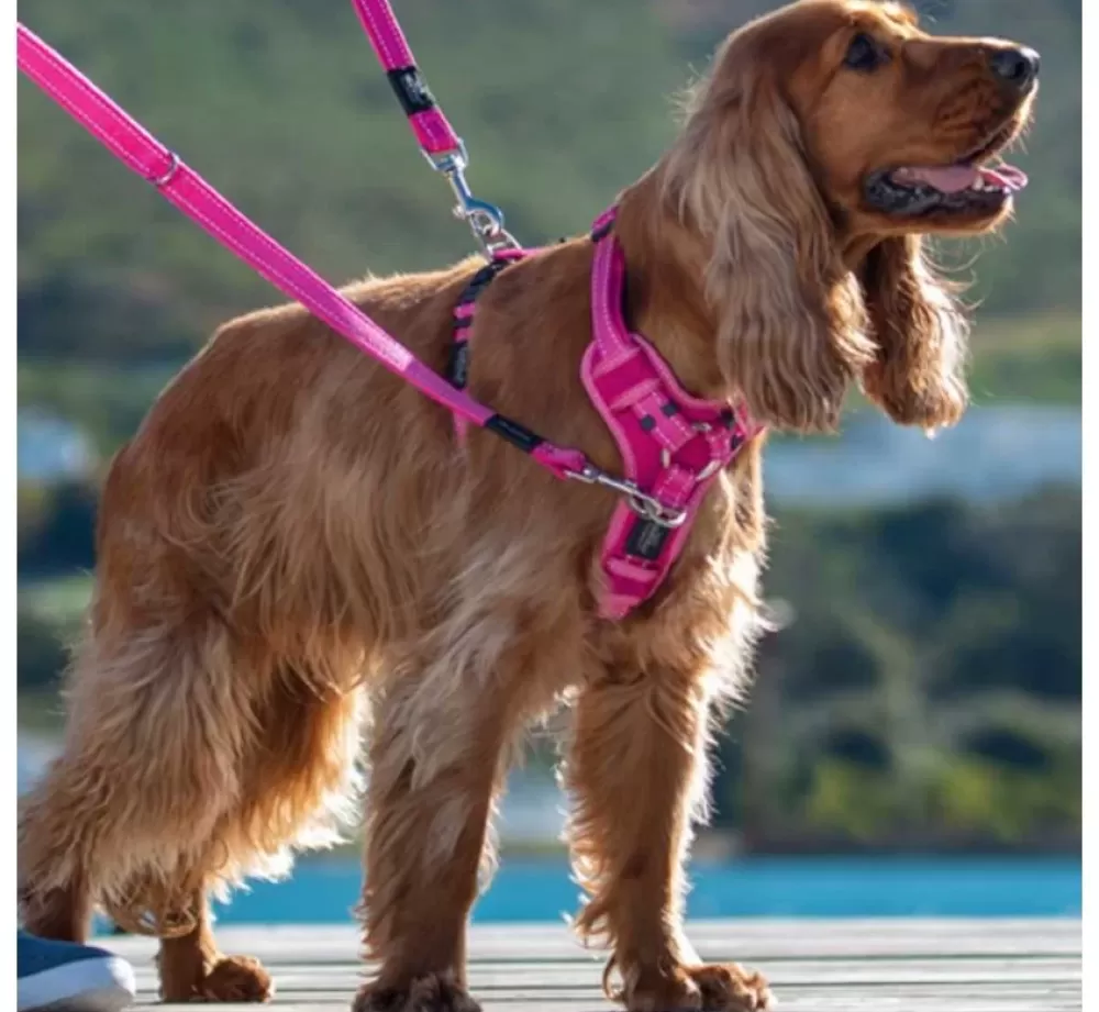 Rogz Puppy Harness | Dog Harness Utility Control Pink