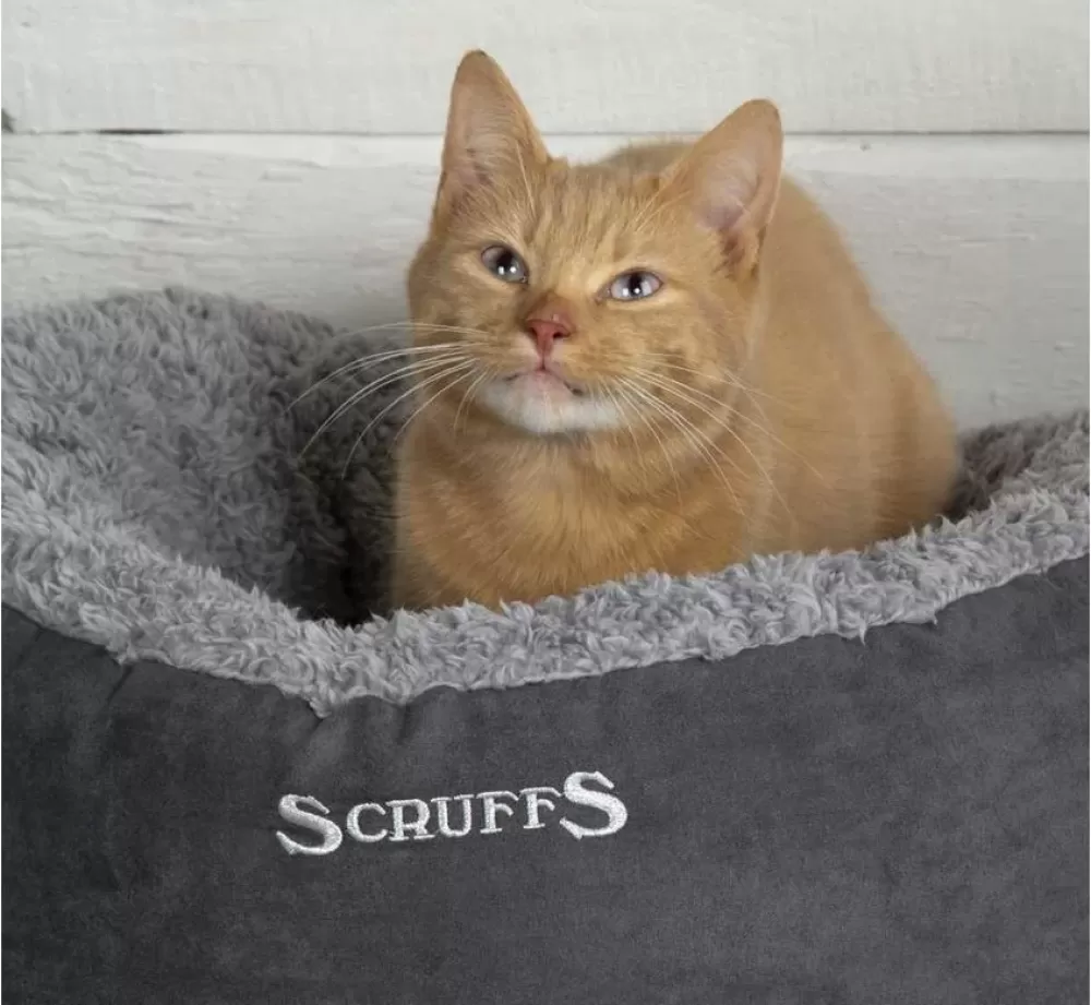 Scruffs Cat Bed | Cat Bed Cozy