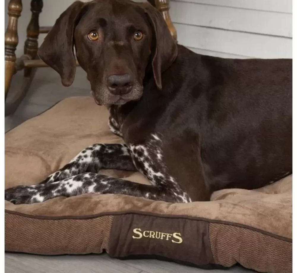 Scruffs Dog Cushion | Dog Cushion Chester Chocolate