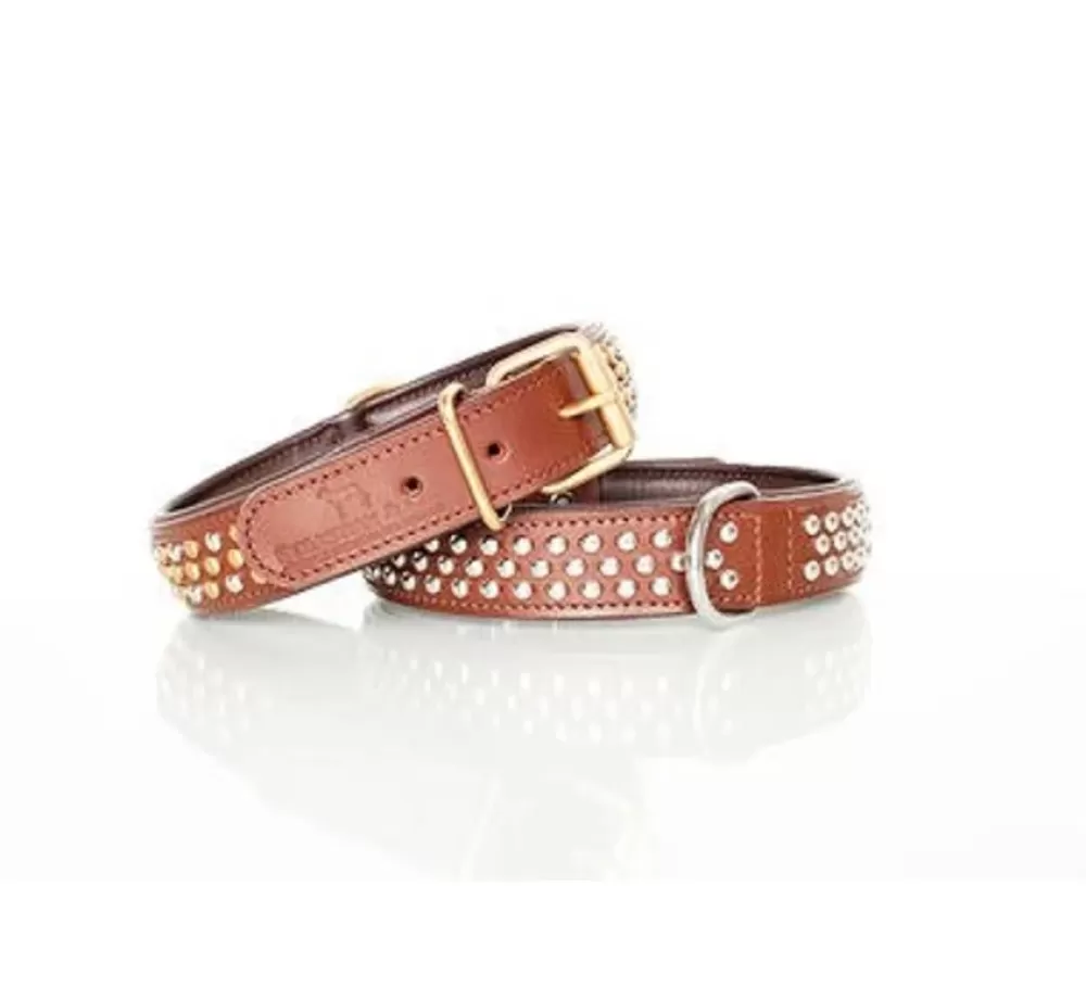 Sebastian Large Dog Collar | Dog Collar Bengal Brass