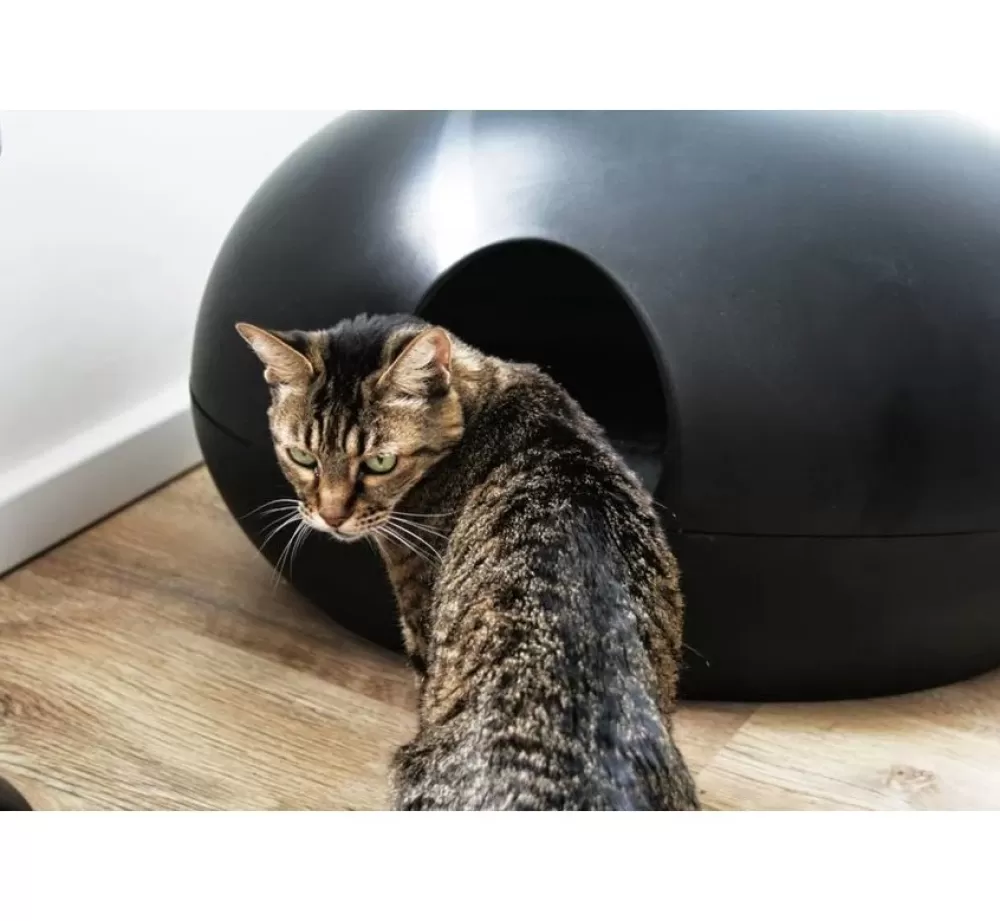 Sindesign Litter | Litter Box Poopoopeedo Black