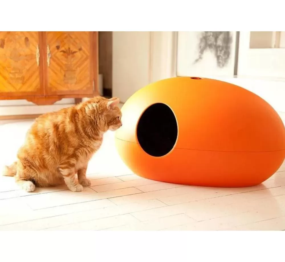 Sindesign Litter | Litter Box Poopoopeedo Orange