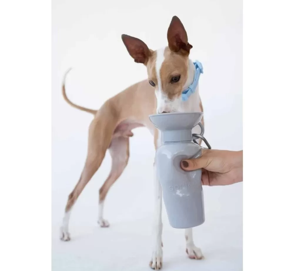 Springer Food Bowl And Water Bowl | Drinking Bottle Dog Classic Grey