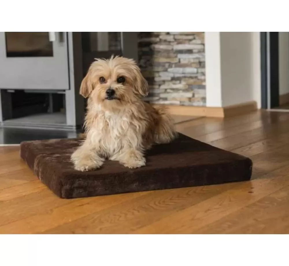 TrendPet Dog Cushion | Dog Cushion Vitamedog Brown