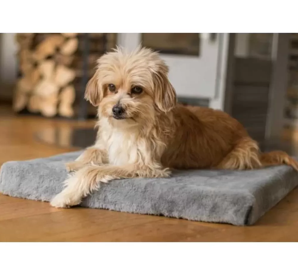 TrendPet Dog Cushion | Dog Cushion Vitamedog Gray