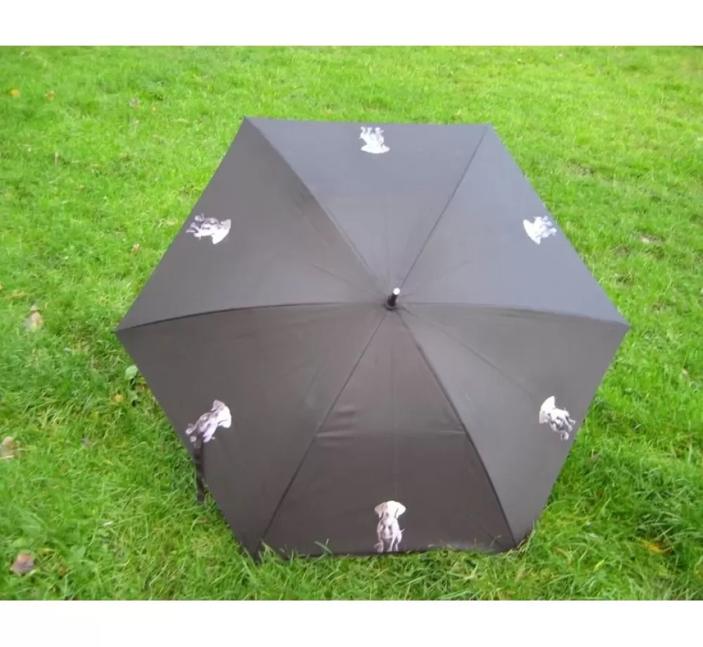 * Dog Umbrella | Umbrella With Dog Print