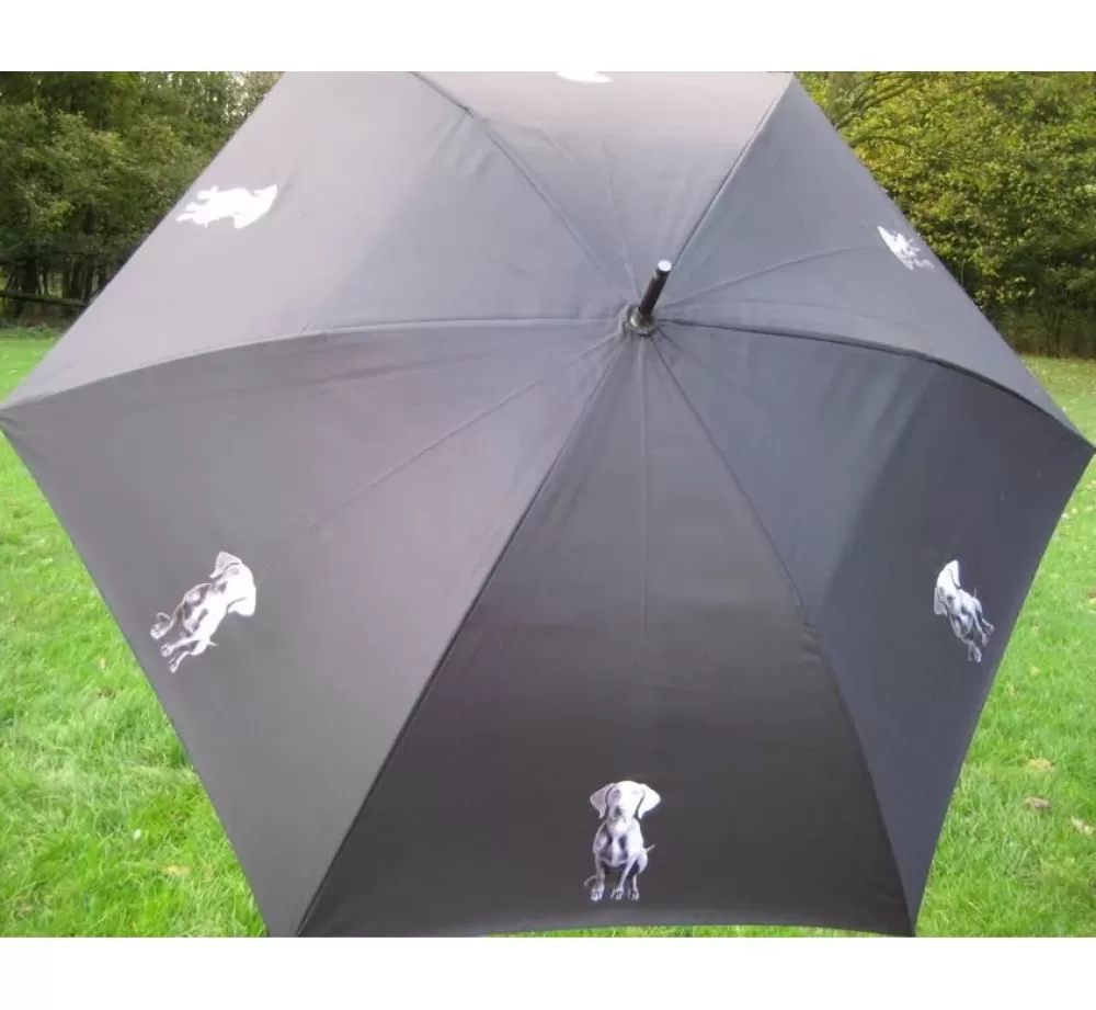 * Dog Umbrella | Umbrella With Dog Print