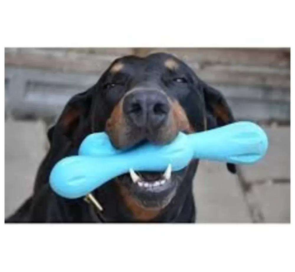 West Paw Design For The Boat | Dog Toy Zogoflex Hurley Aqua