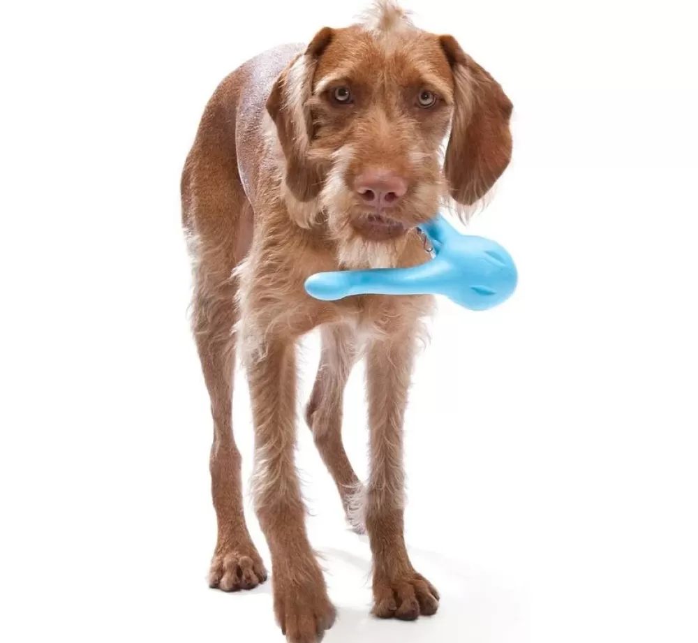 West Paw Design For The Boat | Dog Toy Zogoflex Tizzi Aqua